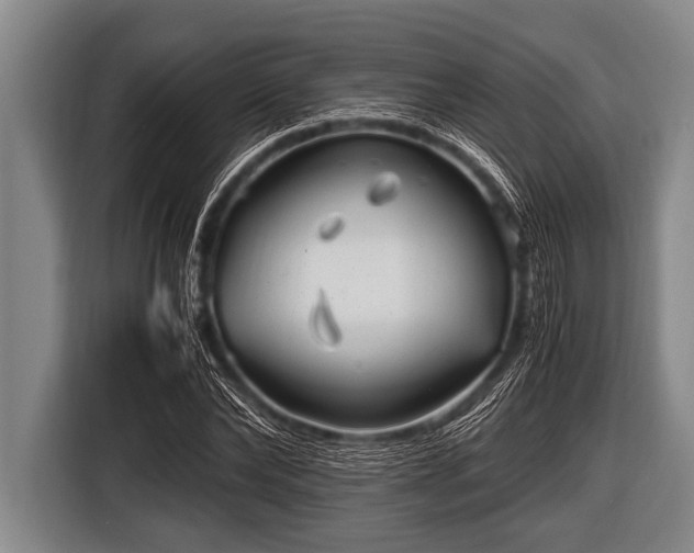 X0000116800878200912241159