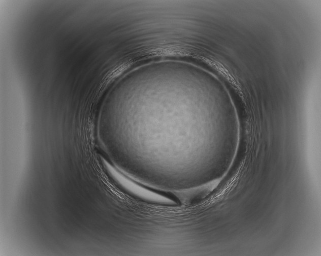 X0000116800881200912241159