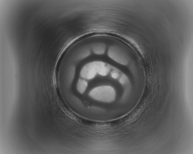 X0000116800887200912241159