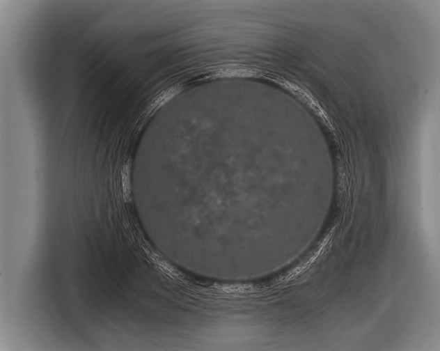 X0000116800889200912241159