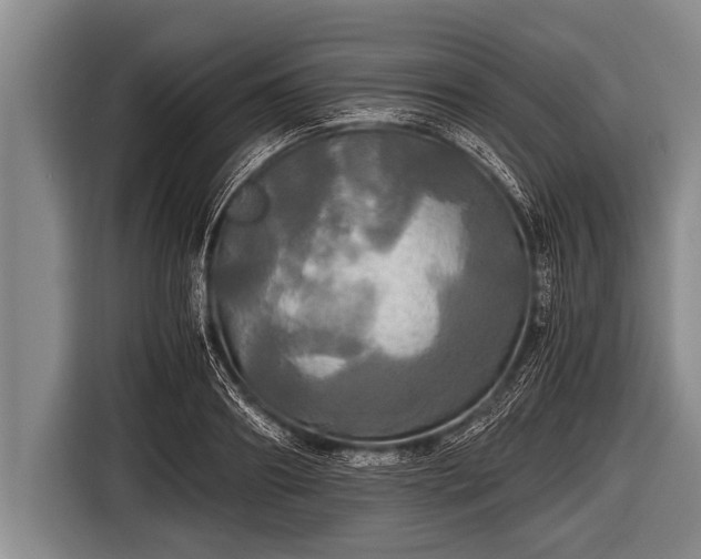 X0000116800890200912241159