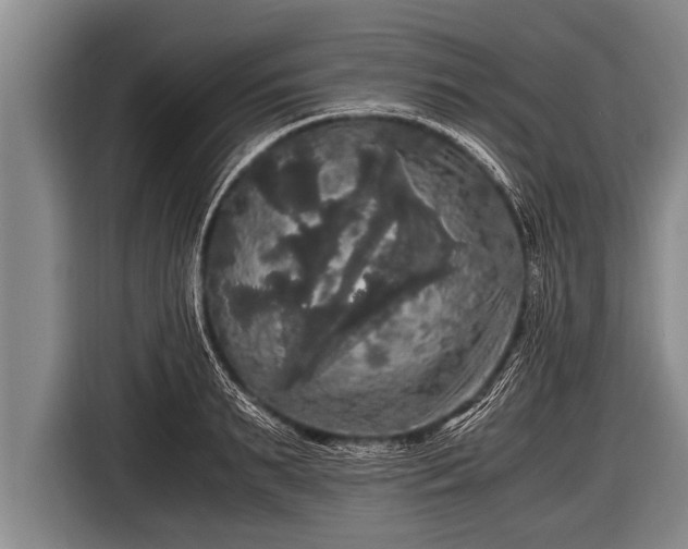 X0000116800895200912241159