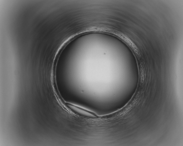 X0000116800896200912241159