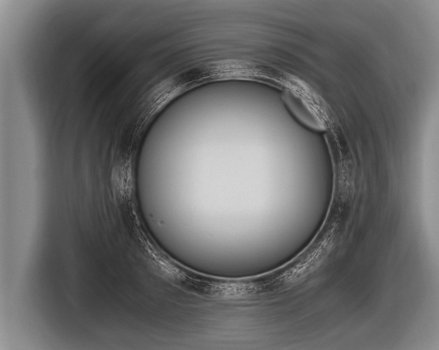 X0000116800897200912241159