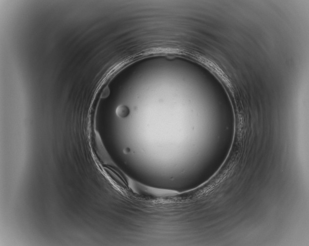 X0000116800898200912241159