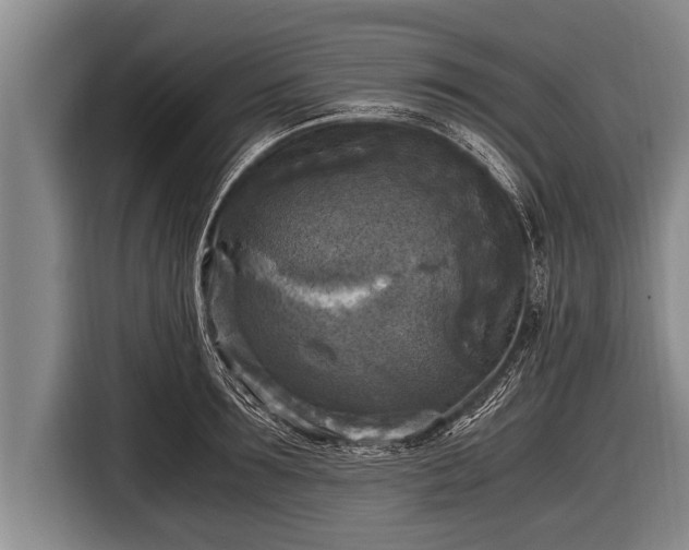 X0000116800899200912241159