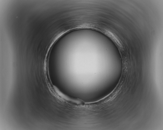 X0000116800900200912241159