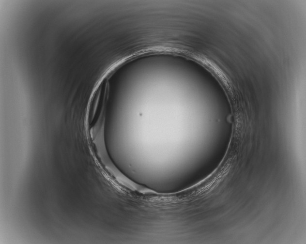 X0000116800902200912241159