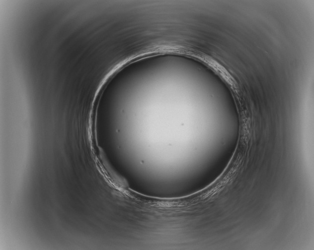 X0000116800904200912241159