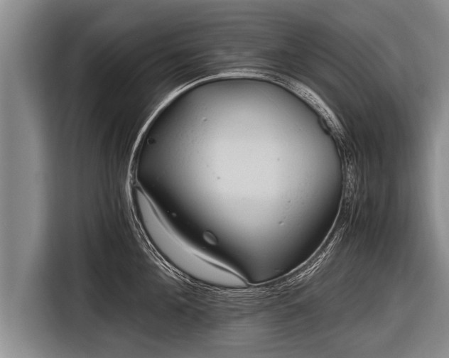 X0000116800908200912241159