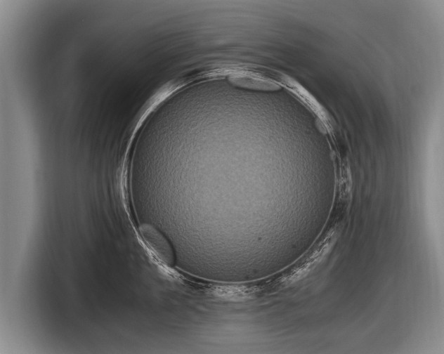 X0000116800909200912241159