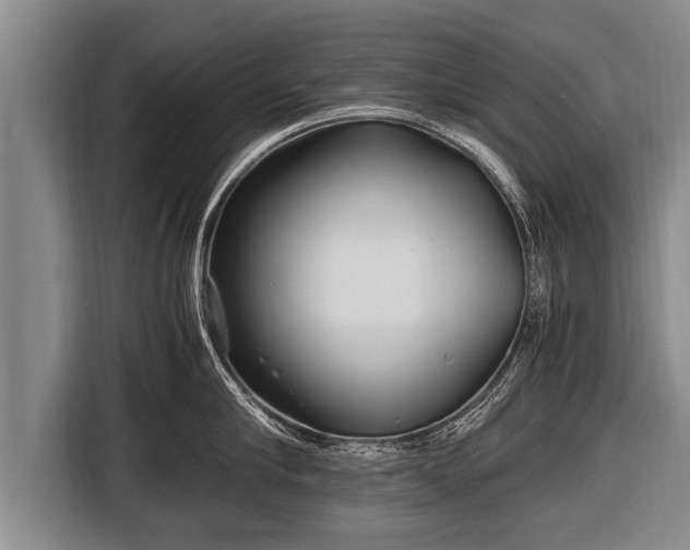 X0000116800910200912241159