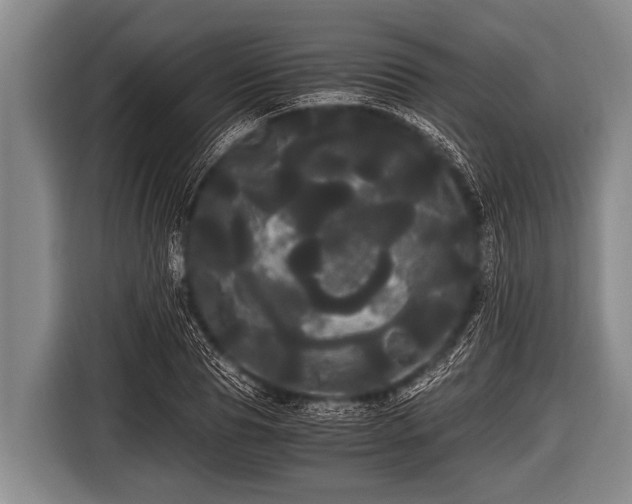 X0000116800929200912241158