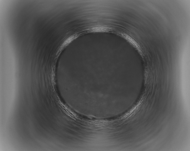 X0000116800930200912241158