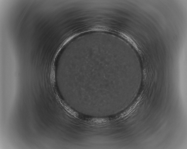 X0000116800931200912241158