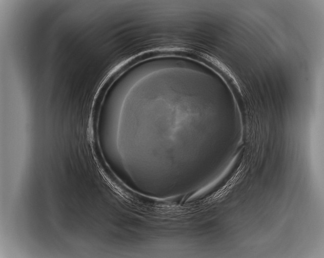 X0000116800935200912241158