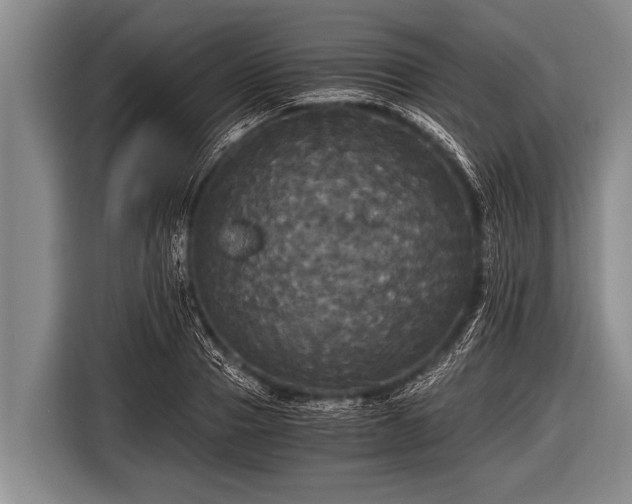 X0000116800937200912241158