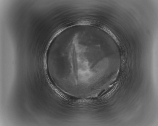 X0000116800939200912241158