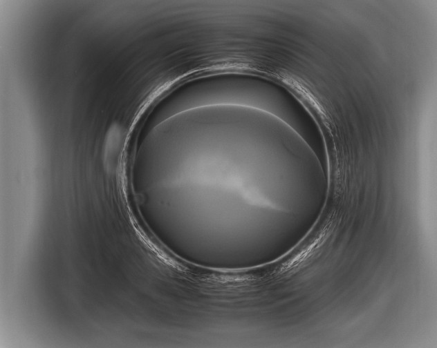 X0000116800941200912241158