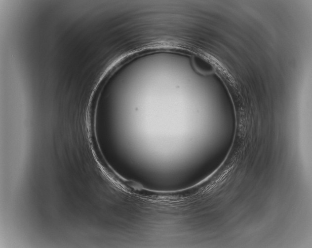 X0000116800942200912241158