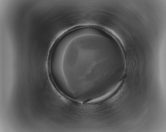 X0000116800943200912241158