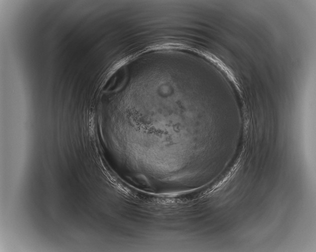 X0000116800945200912241158