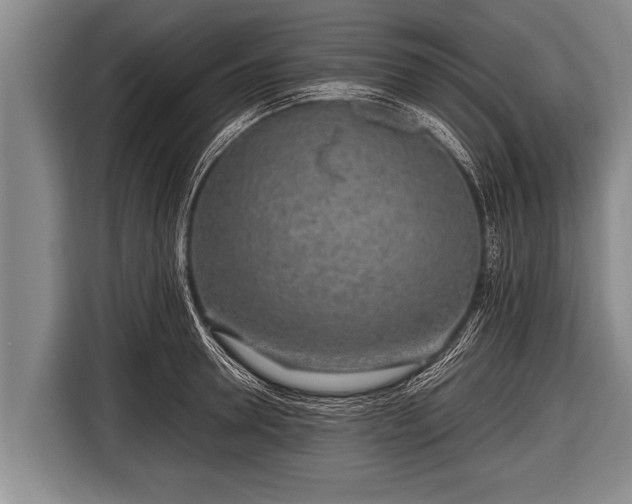 X0000116800946200912241158