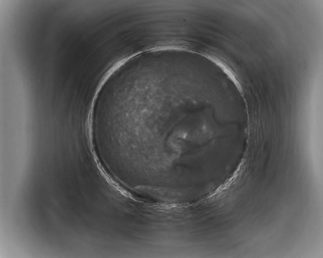 X0000116800949200912241158