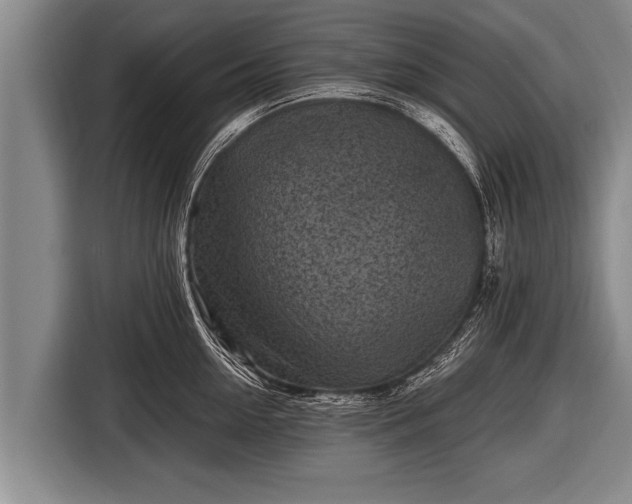 X0000116800954200912241158