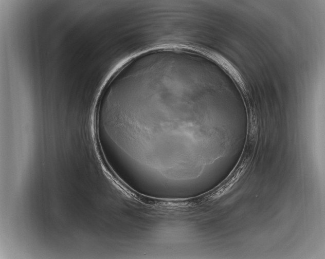 X0000116800958200912241159