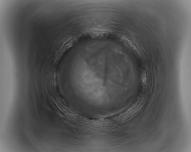 X0000116800964200912241158