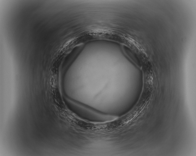 X0000116800965200912241158