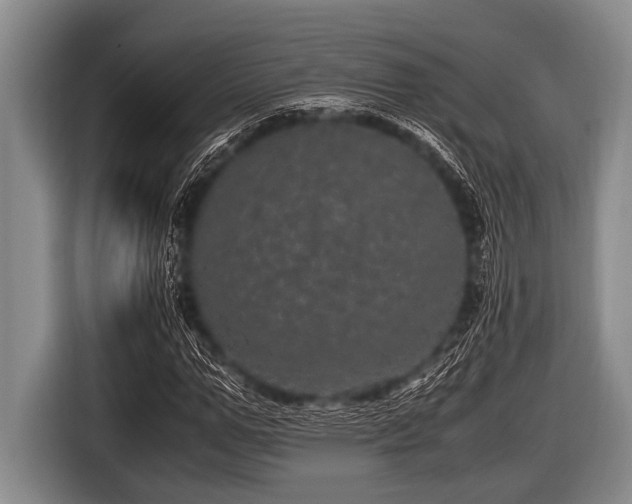 X0000116800967200912241158