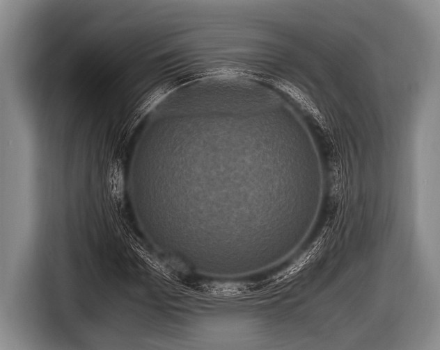 X0000116800969200912241158