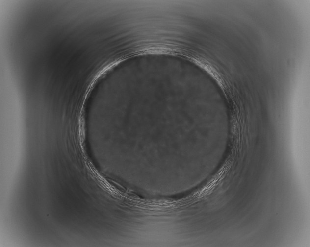 X0000116800979200912241158