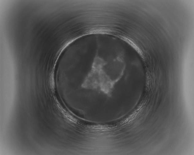 X0000116800980200912241158