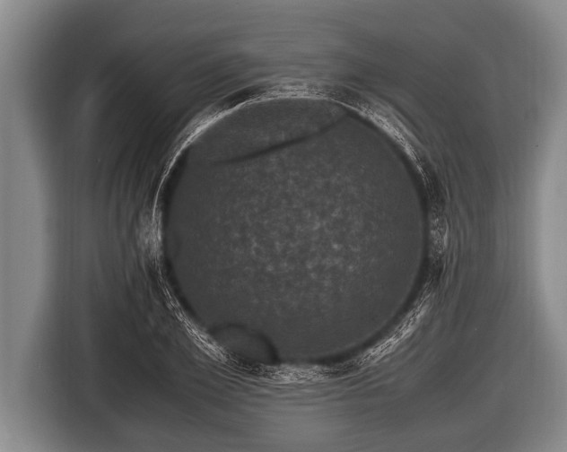 X0000116800981200912241158