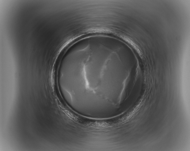 X0000116800983200912241158