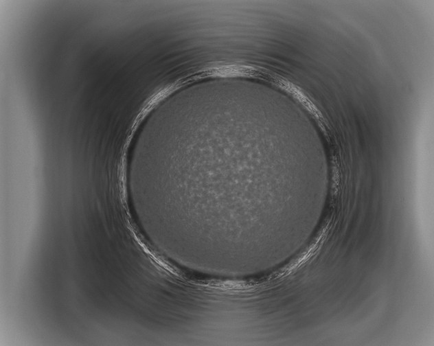 X0000116800986200912241158