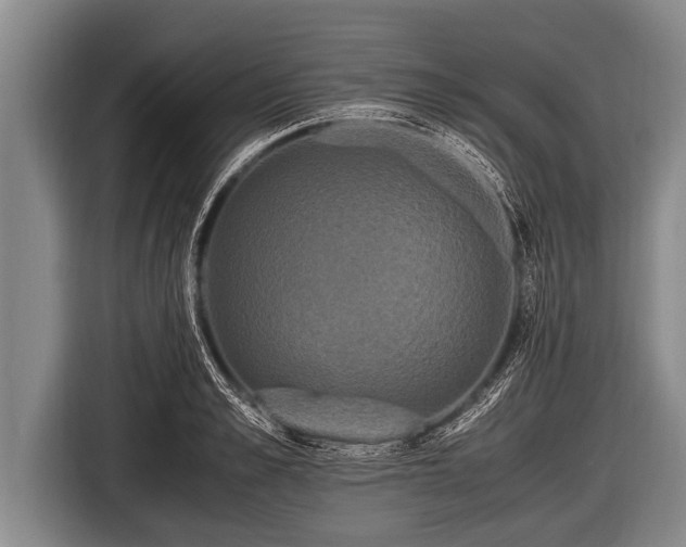 X0000116800989200912241158