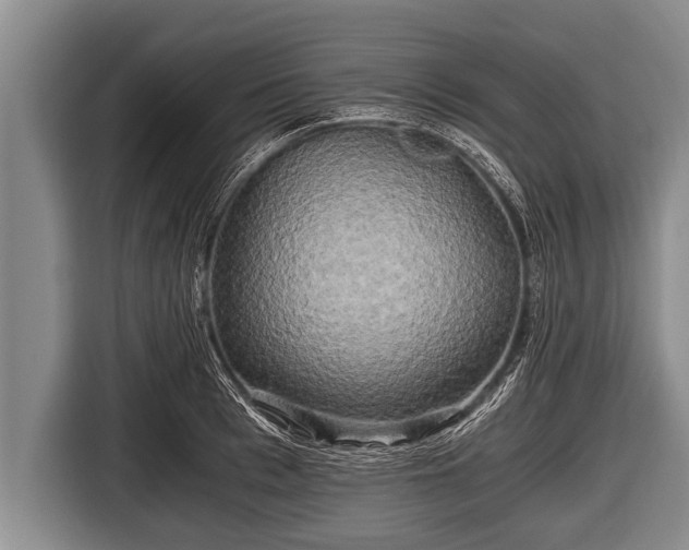 X0000116800993200912241158