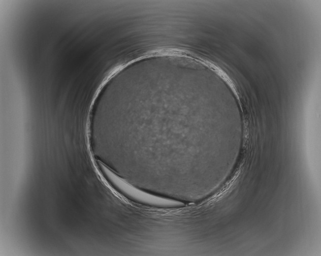 X0000116800997200912241157