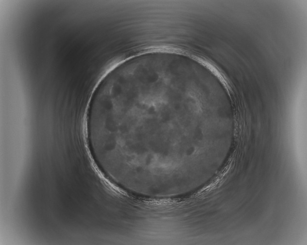 X0000116800999200912241157