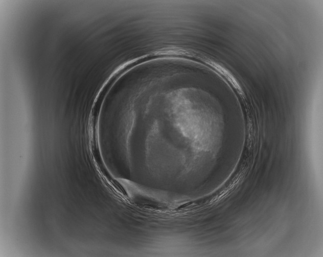 X0000116801000200912241157