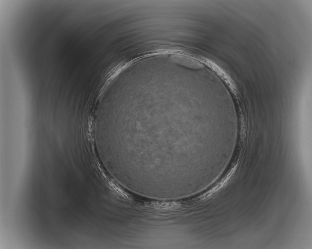 X0000116801001200912241157