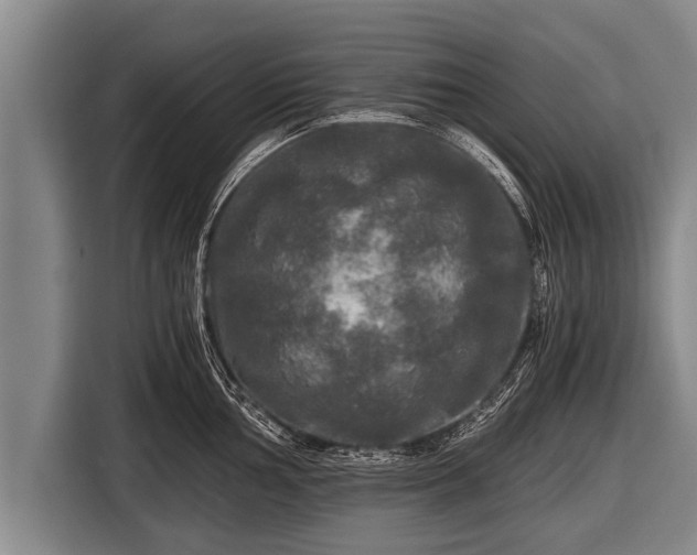 X0000116801002200912241157