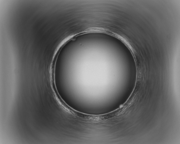 X0000116801003200912241157