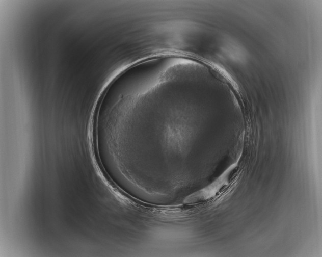 X0000116801007200912241157