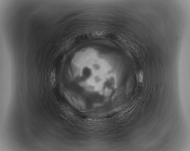 X0000116801011200912241157