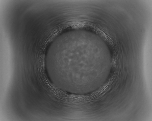 X0000116801012200912241157